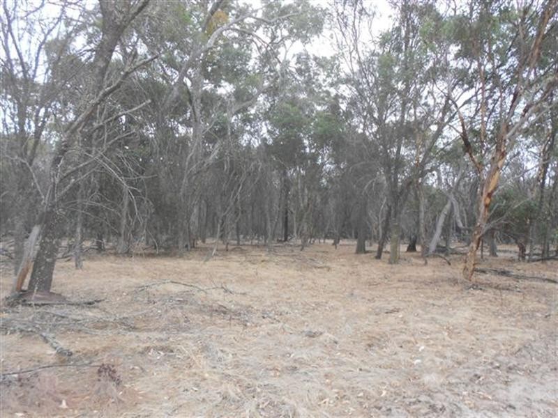 L2 Williams Street, Beaufort River WA 6394