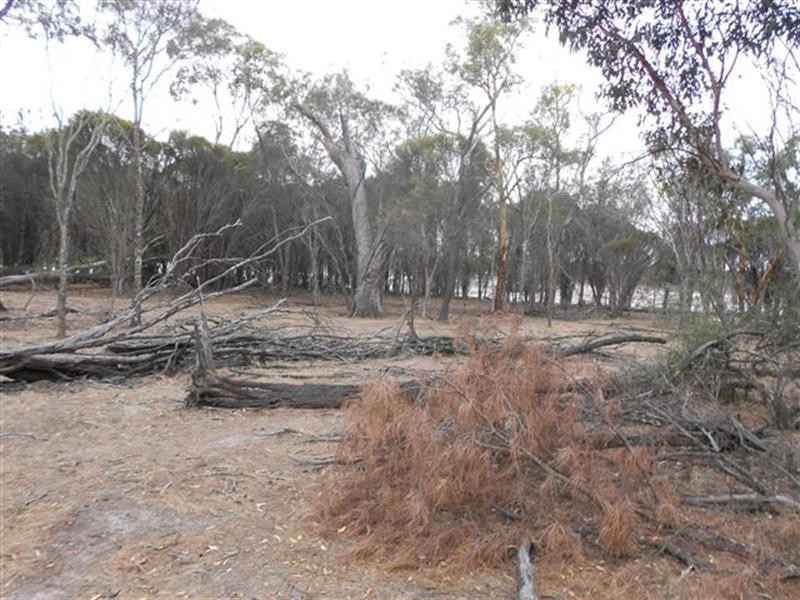 L2 Williams Street, Beaufort River WA 6394