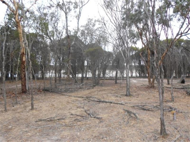 L2 Williams Street, Beaufort River WA 6394