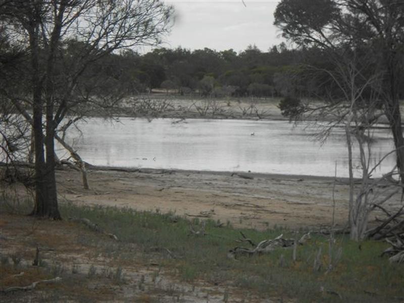 L2 Williams Street, Beaufort River WA 6394