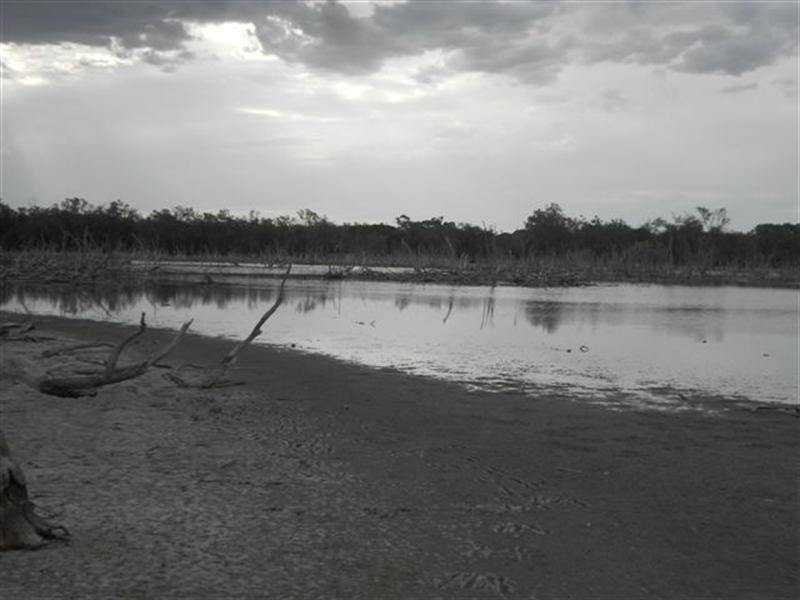 L2 Williams Street, Beaufort River WA 6394