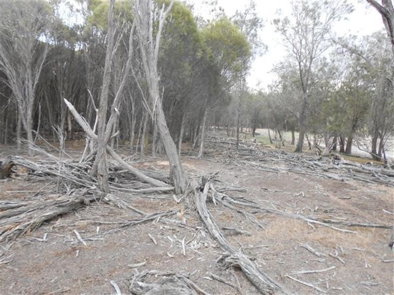 L2 Williams Street, Beaufort River WA 6394