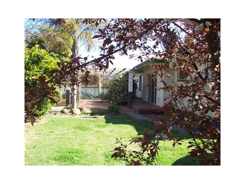 41 Conroy Street, Katanning WA 6317