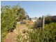 67 Harvey Street, Dumbleyung WA 6350