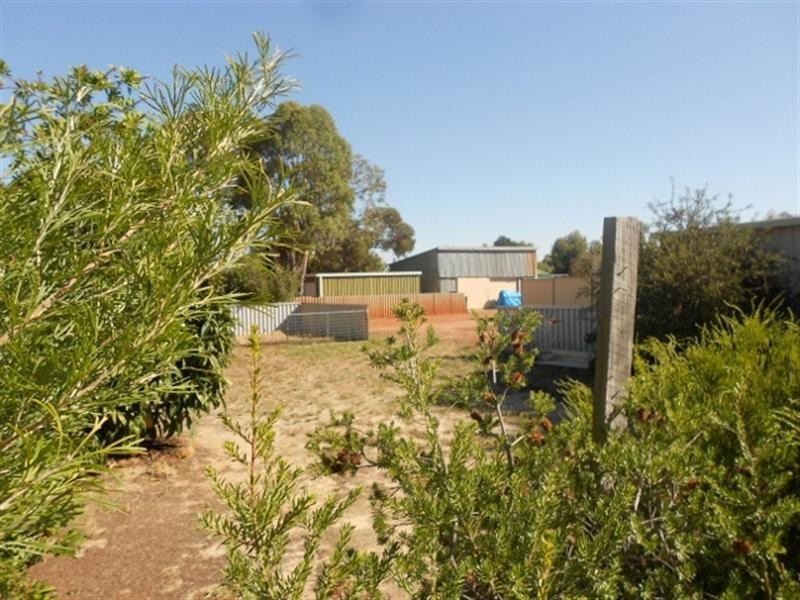 67 Harvey Street, Dumbleyung WA 6350