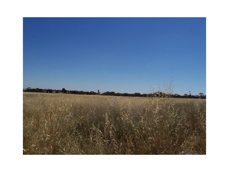 Lot 3 Thomson Street, Katanning WA 6317