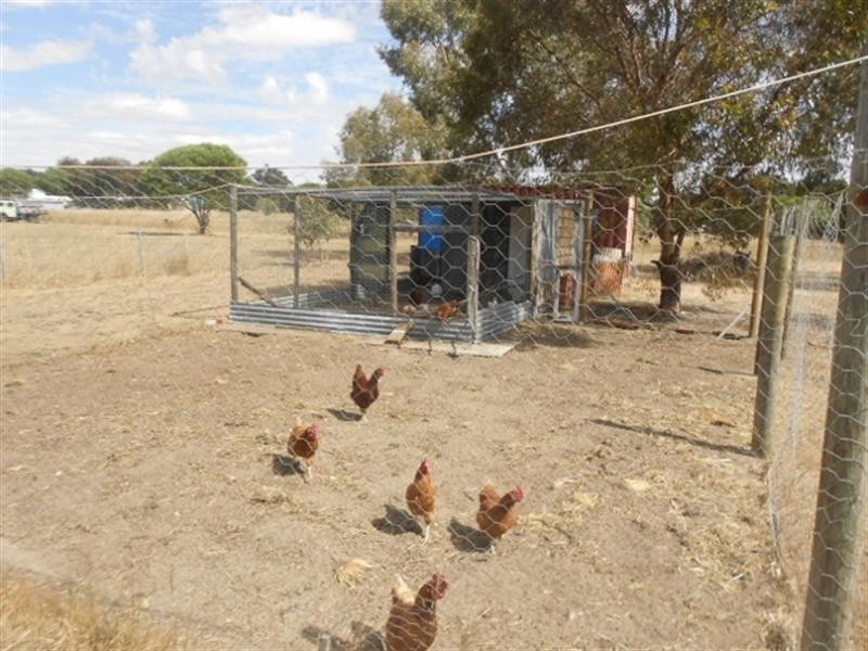 11 Steere Road, Woodanilling WA 6316