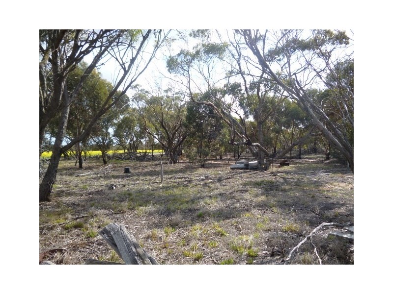 25 George Street, Dumbleyung WA 6350