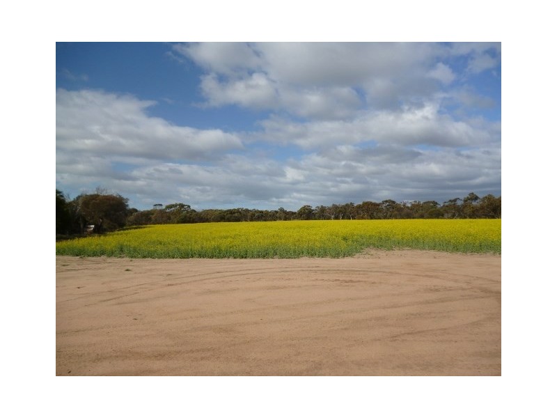 25 George Street, Dumbleyung WA 6350