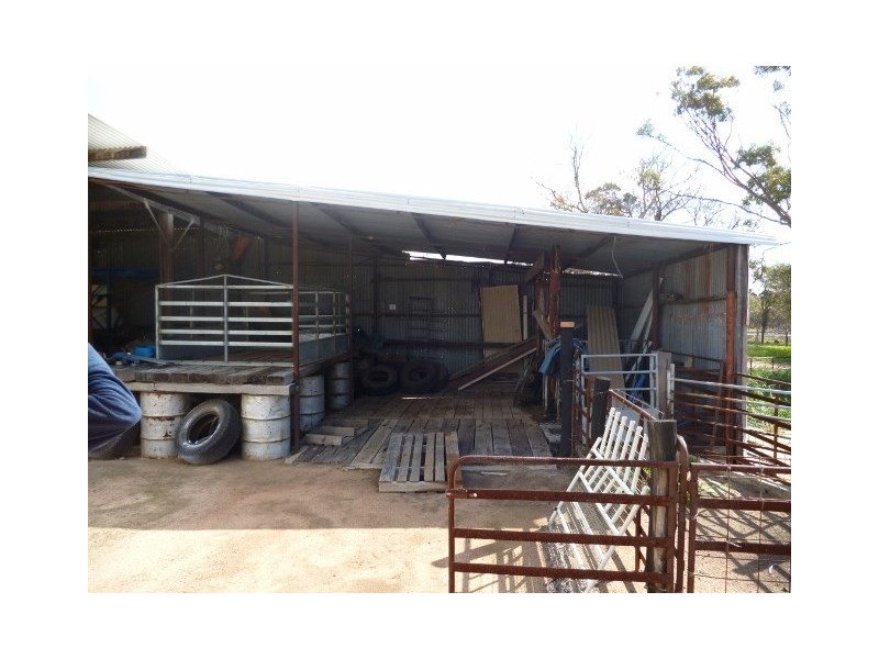 25 George Street, Dumbleyung WA 6350