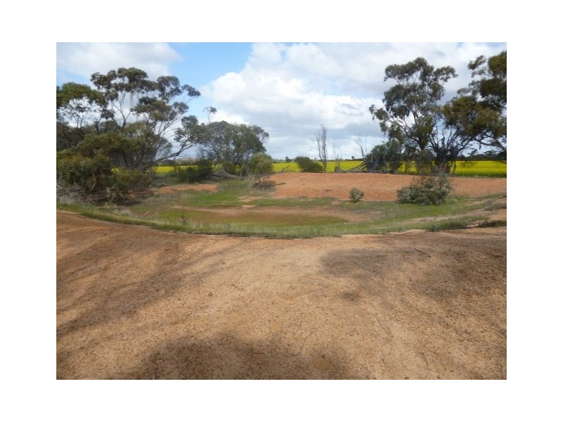 25 George Street, Dumbleyung WA 6350