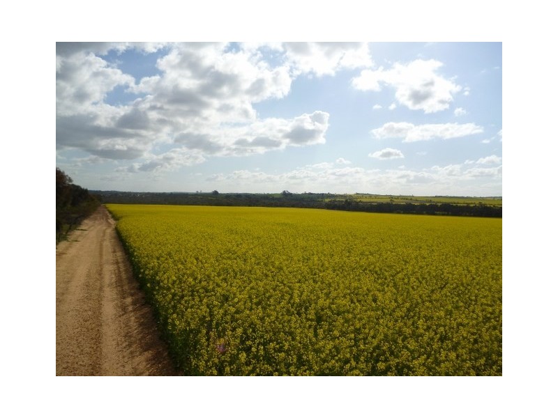 25 George Street, Dumbleyung WA 6350