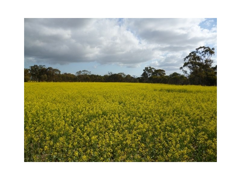 25 George Street, Dumbleyung WA 6350