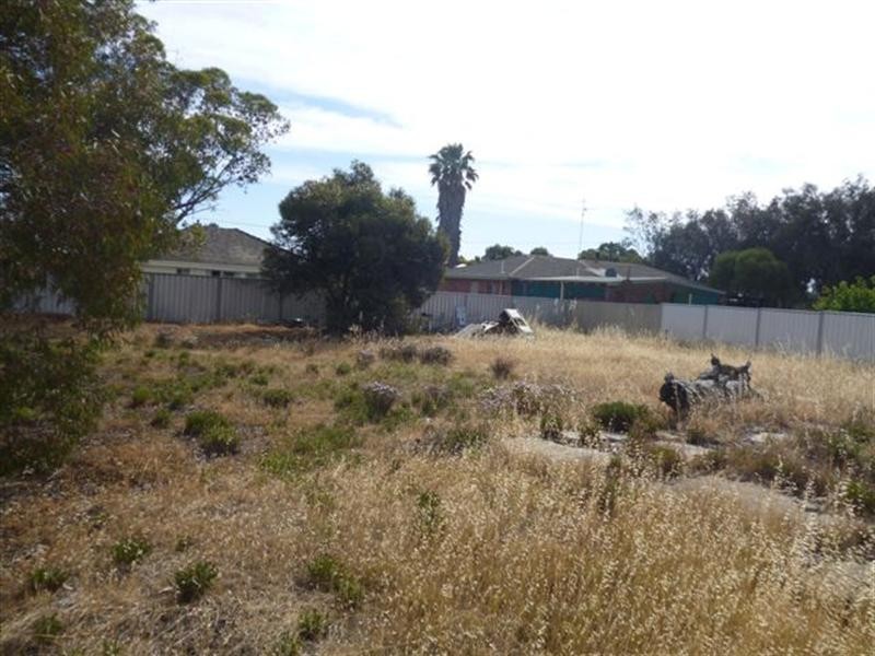 73 Piesse Street, Katanning WA 6317