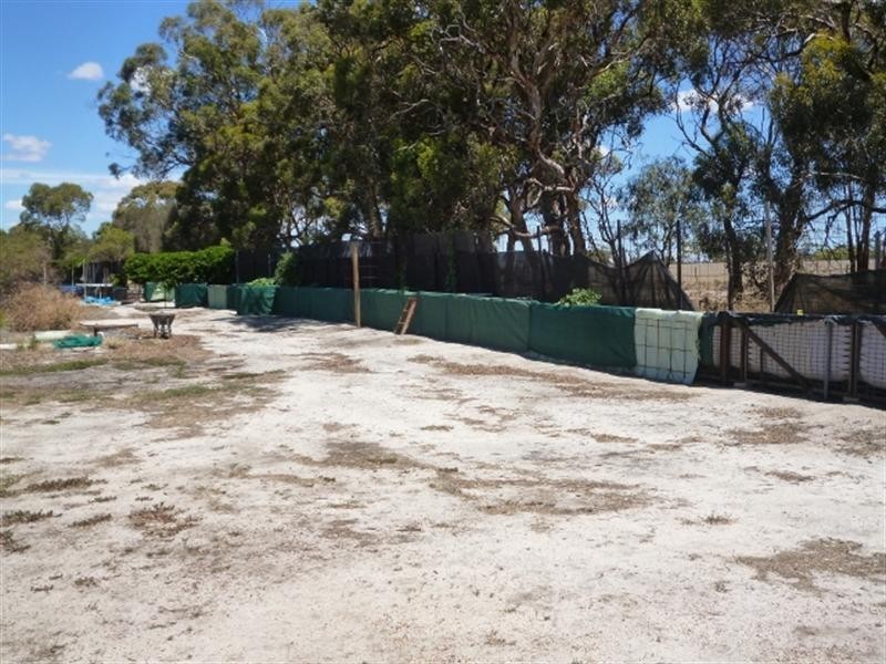 2 Wanke Street, Katanning WA 6317