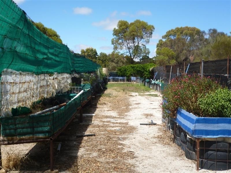 2 Wanke Street, Katanning WA 6317