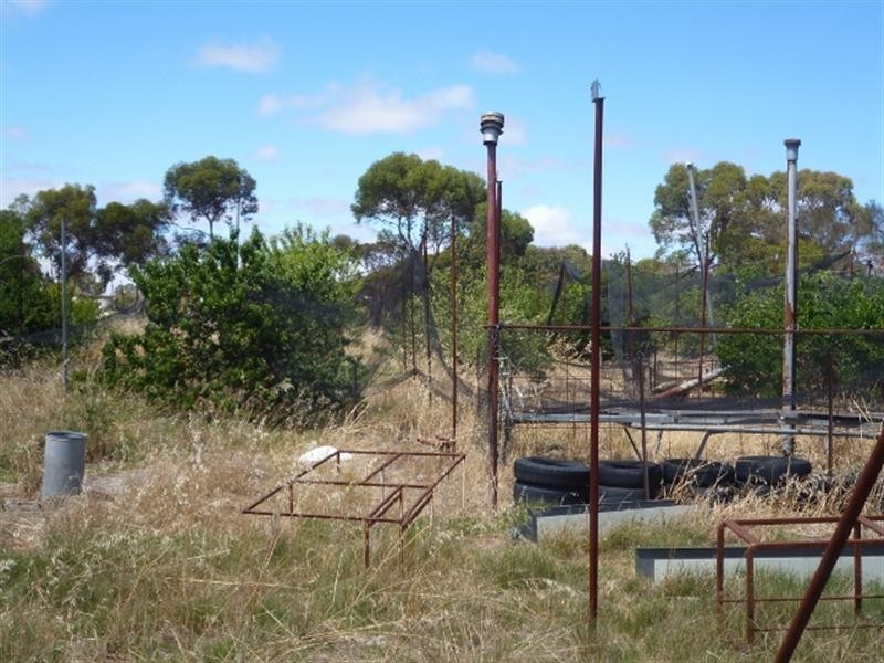 2 Wanke Street, Katanning WA 6317