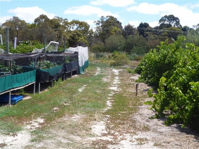 2 Wanke Street, Katanning WA 6317