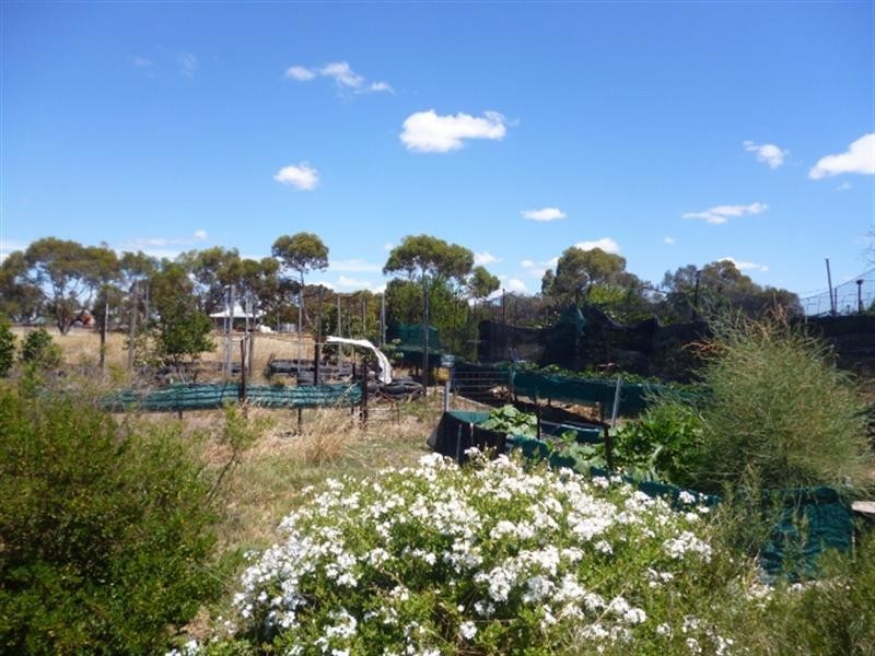 2 Wanke Street, Katanning WA 6317