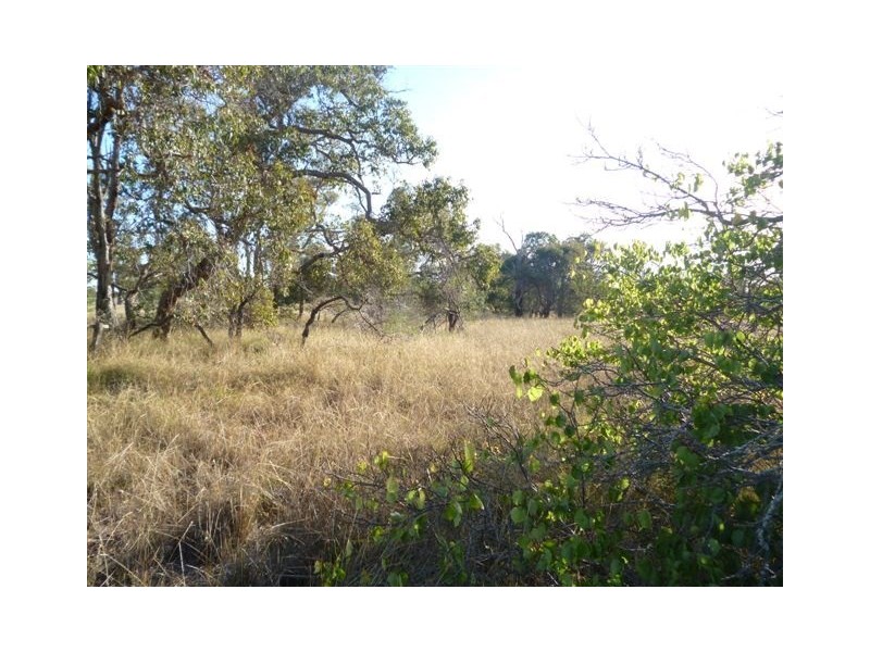 50 Wandoo Road, Katanning WA 6317