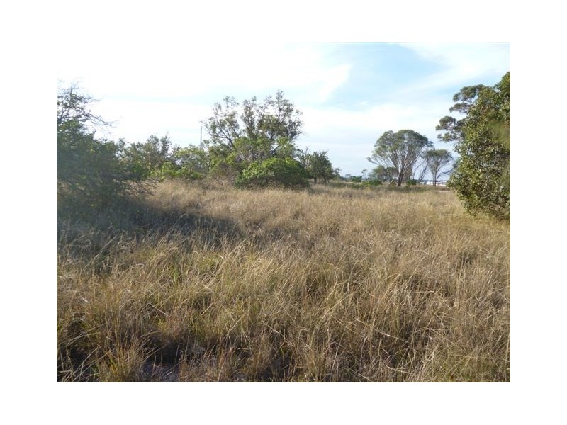 50 Wandoo Road, Katanning WA 6317