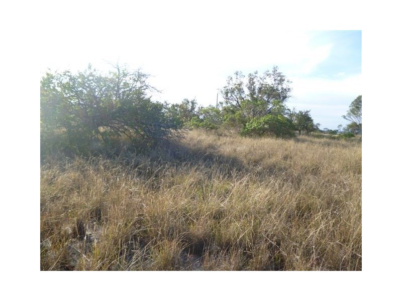 50 Wandoo Road, Katanning WA 6317