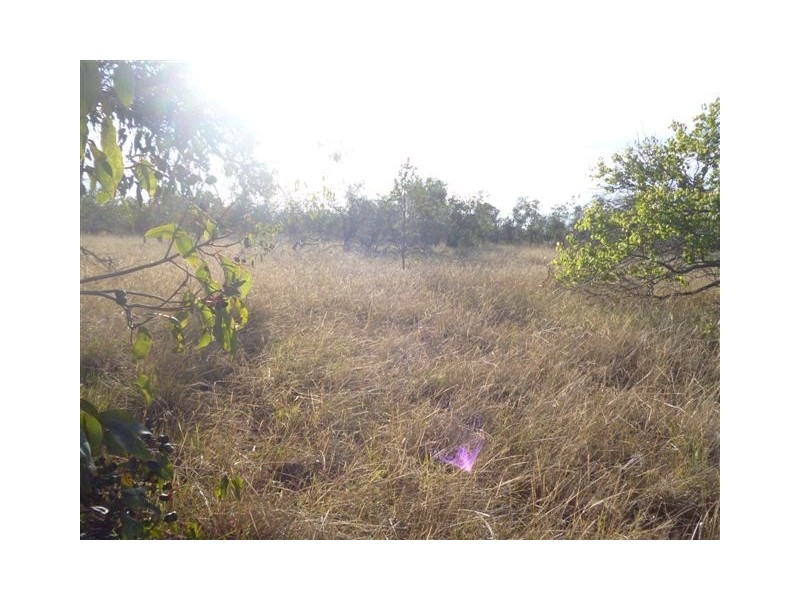 50 Wandoo Road, Katanning WA 6317