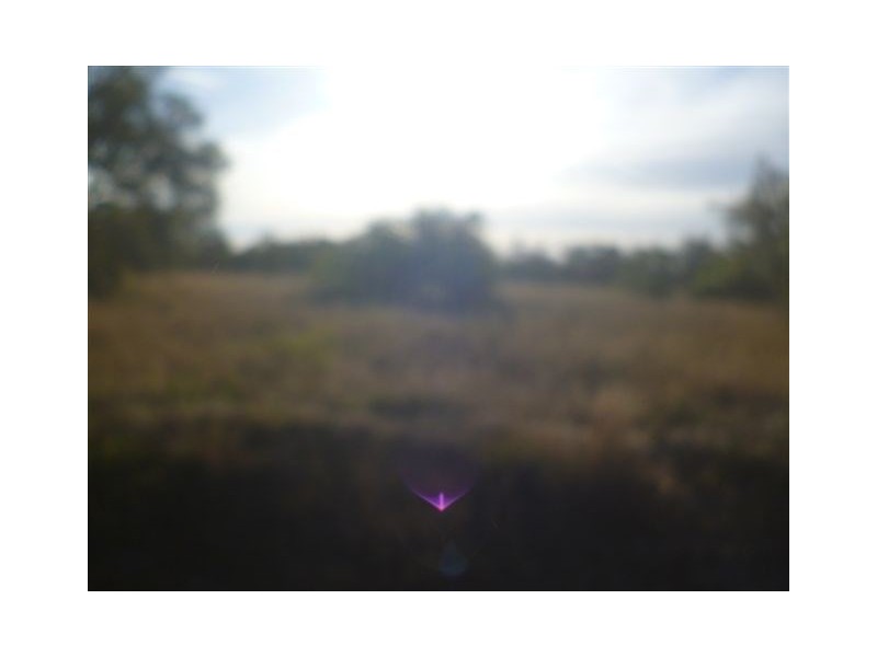 50 Wandoo Road, Katanning WA 6317