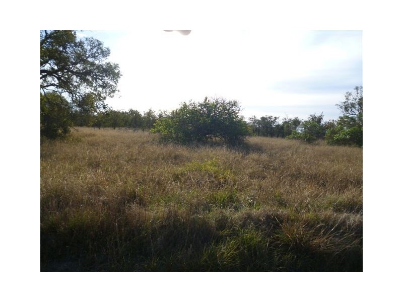 50 Wandoo Road, Katanning WA 6317