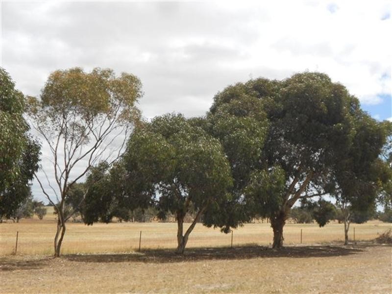 104 Charsley Road, Nyabing WA 6341