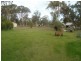 28 Withnell Road, Woodanilling WA 6316