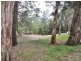 17 Muloora Road, Springfield NSW 2250