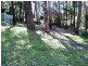 17 Muloora Road, Springfield NSW 2250
