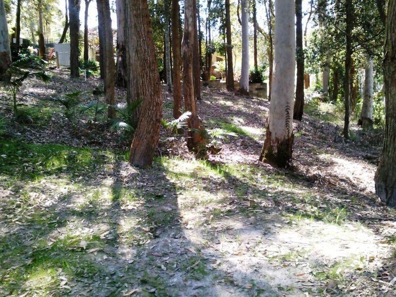 19 Muloora Road, Springfield NSW 2250