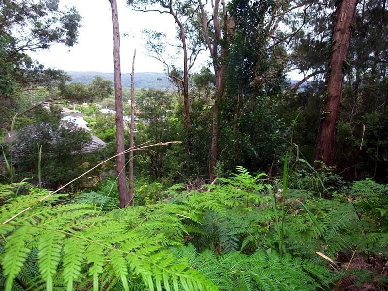 3 Fiona Street, Point Clare NSW 2250