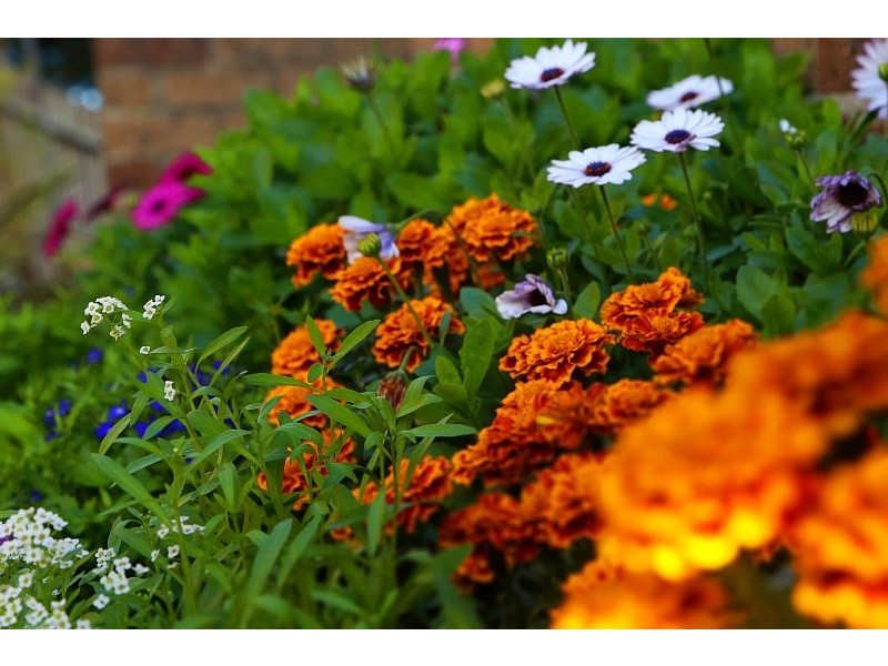 “Baloo” Waterview Crescent, Tascott NSW 2250