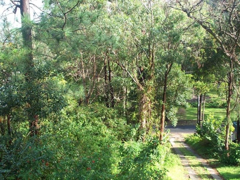 13 Melaleuca Crescent, Tascott NSW 2250