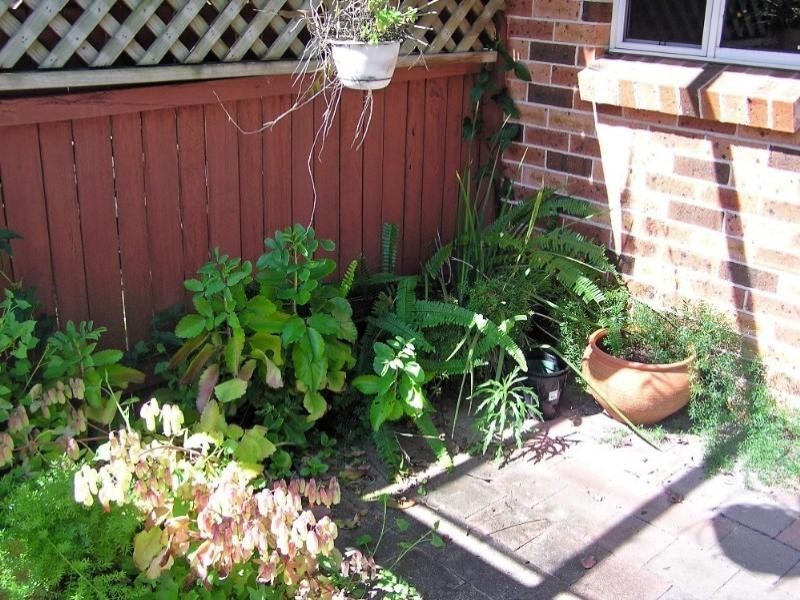 Point Clare NSW 2250