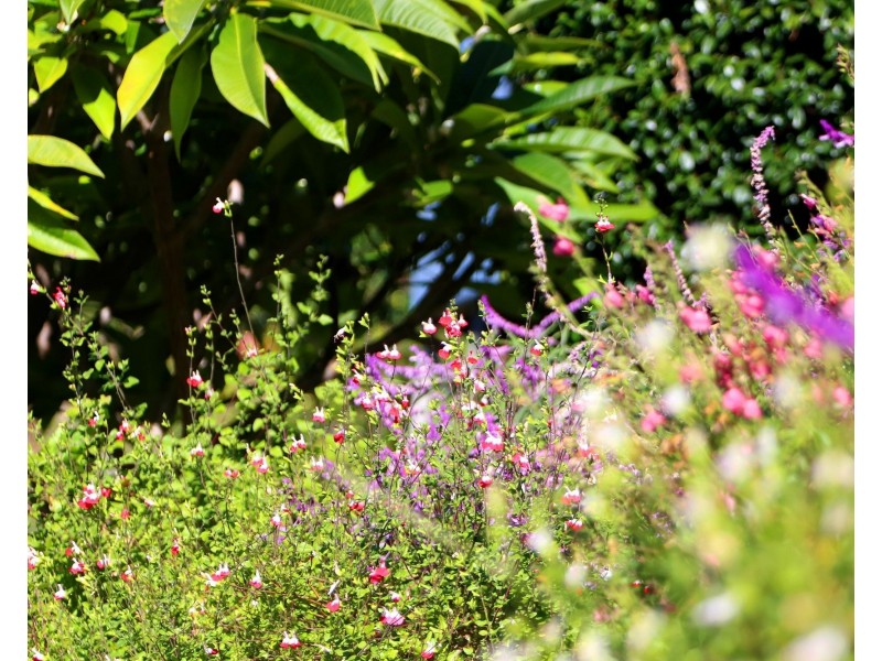 264 Glenrock Parade, Tascott NSW 2250