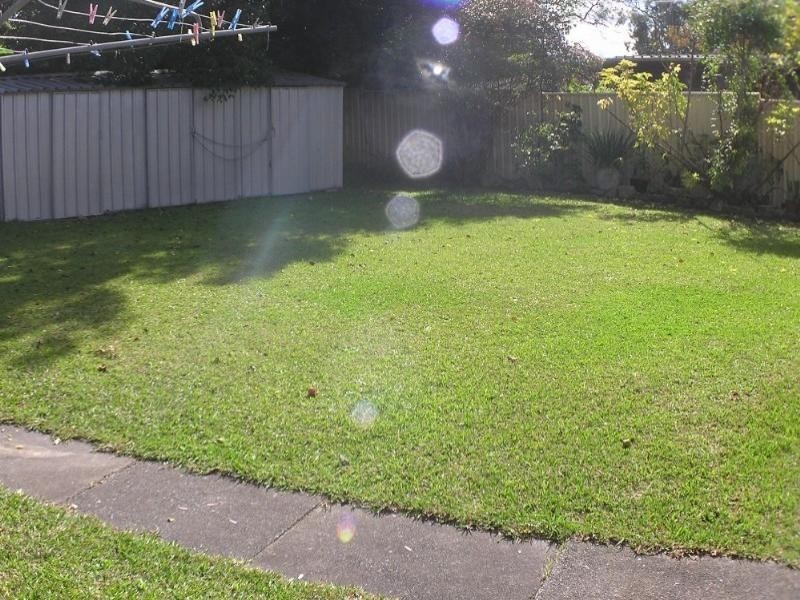 20 Jindalee Avenue, Point Clare NSW 2250
