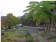 4 Jindalee Avenue, Point Clare NSW 2250