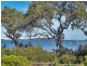Point Clare NSW 2250