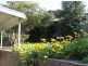 Point Clare NSW 2250