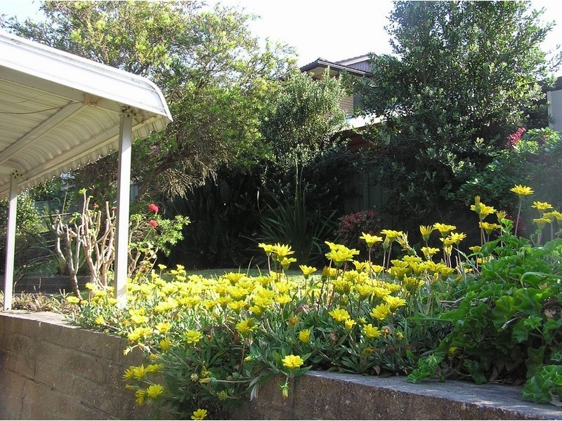 Point Clare NSW 2250