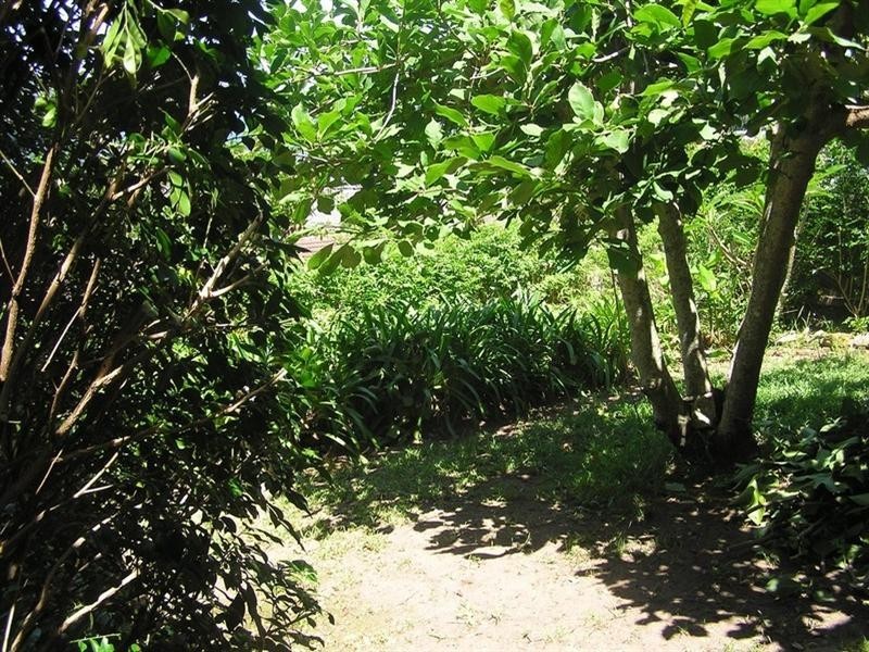 Point Clare NSW 2250