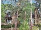 8A Coral Tree Place, Point Clare NSW 2250