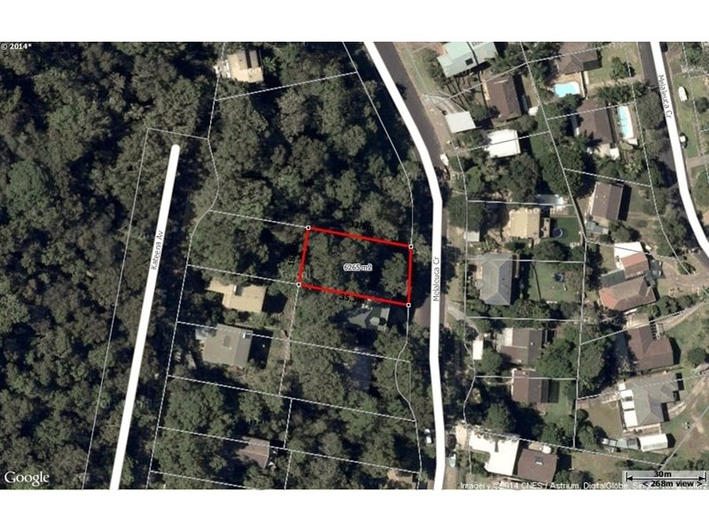 67 Melaleuca Crescent, Tascott NSW 2250