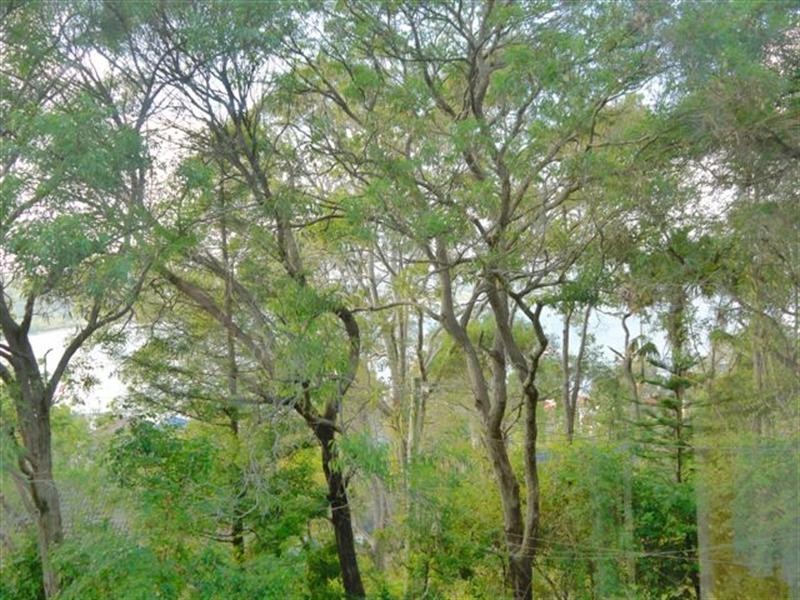 43 Nimala Avenue, Koolewong NSW 2256
