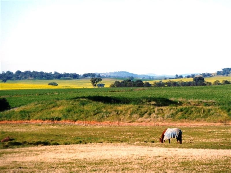 1149 Gregadoo East Road, Gregadoo, Wagga Wagga NSW 2650