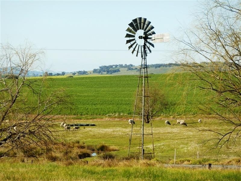 1149 Gregadoo East Road, Gregadoo, Wagga Wagga NSW 2650